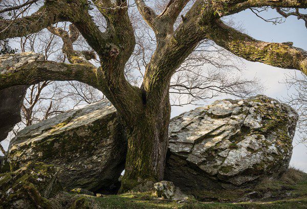 Killarney National Park