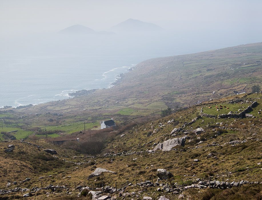 /product//deenish-and-scariff-islands-ring-of-kerry/