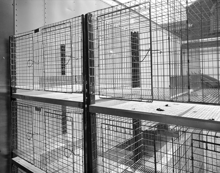 Chicken Cages, Soulard Market 5