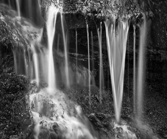 Detail, Cummin’s Falls State Park, Tennessee, 2013
