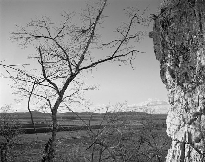 Flood Plain of the Mississippi From Bluffs Near Fults, Illinois, 1983