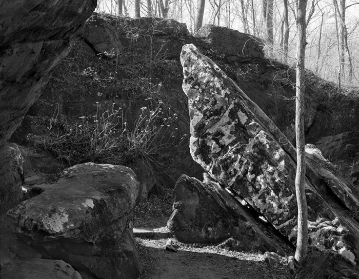 Morning Light, Giant City State Park, Makanda, Illinois, 1981