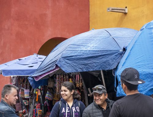 Market, Sancuario de Atotonilco, Atotonilco, Mexico, 2019