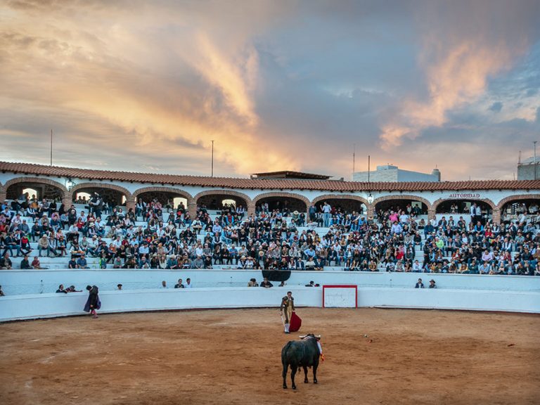 The Last Bull, Plaza de Toros, San Miguel de Allende, Mexico, 2018