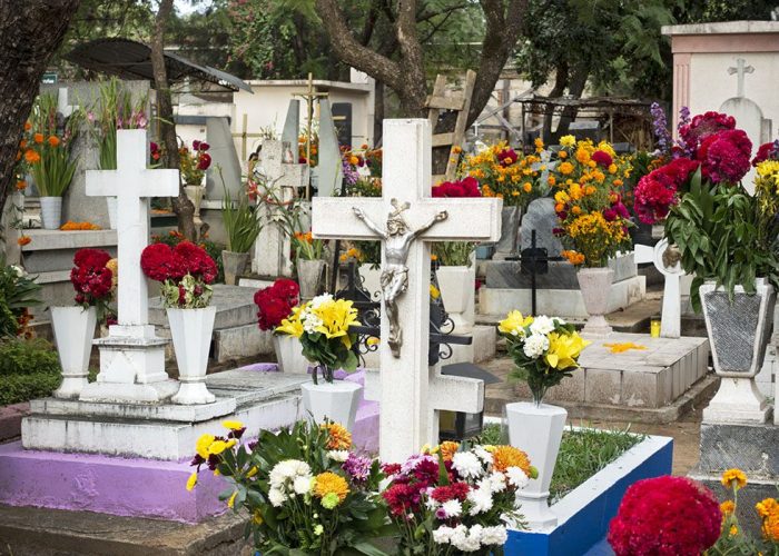 Day Of the Dead, Panteon General
