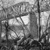 Chain of Rocks Bridge From Chouteau Island, Illinois #2, 2020