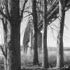 Chain of Rocks Bridge From Chouteau Island, Illinois, 2020