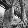 Chain of Rocks Bridge and Trees, From the Bank of the Mississippi River, Winter, 2020