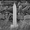 Graffiti, Abandoned Railline, North St. Loius, 2020