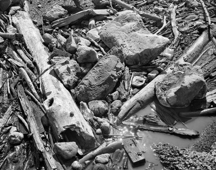 Driftwood, Chouteau's Landing, 2021