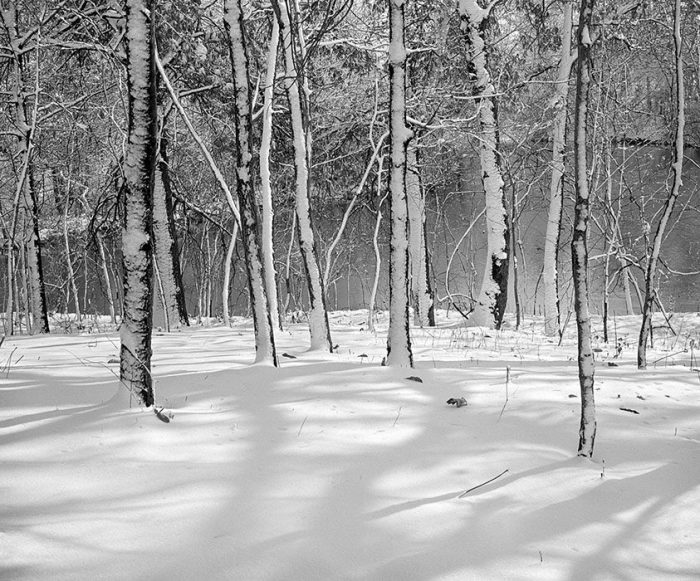 Fresh Snow, Swan Lake, Fairview Heights, Illinois, 1980