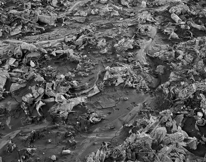 Mud and Debris, Under I-55, 2021