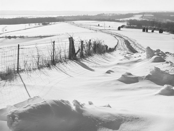 Near Prairie du Rocher, Illinois, Flood Plain of the Mississippi River, Winter, 1981