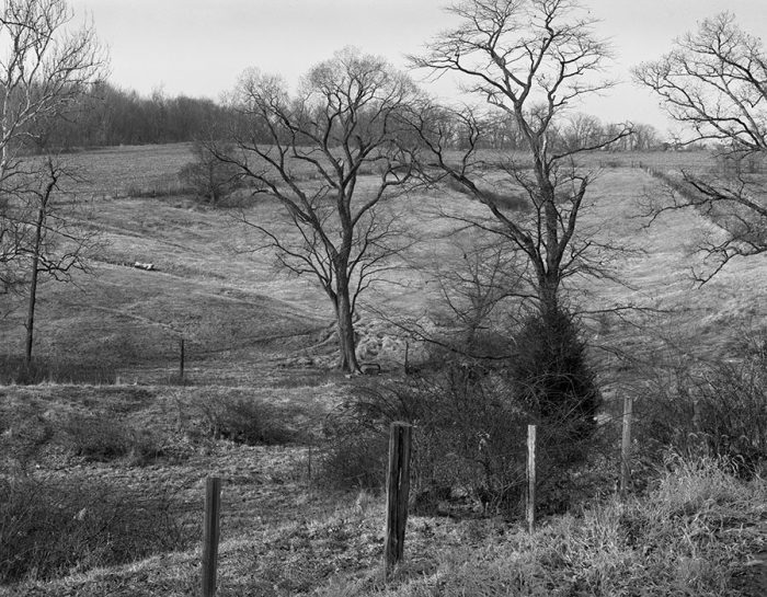 Pasture Near Freeburg, Illinois, 1983