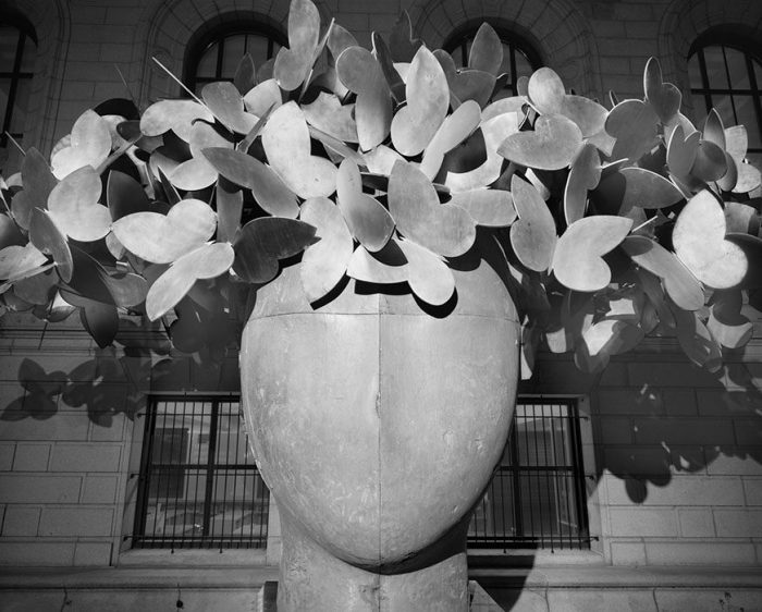Sculpture, Main Library, Night, 2020