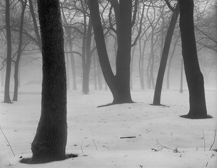 Snow, Trees, and Fog, Frontenac, Missouri, 1997