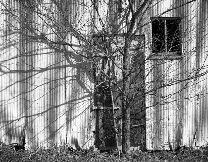 Tree and Shadows, St. Charles County, Missouri, 1997