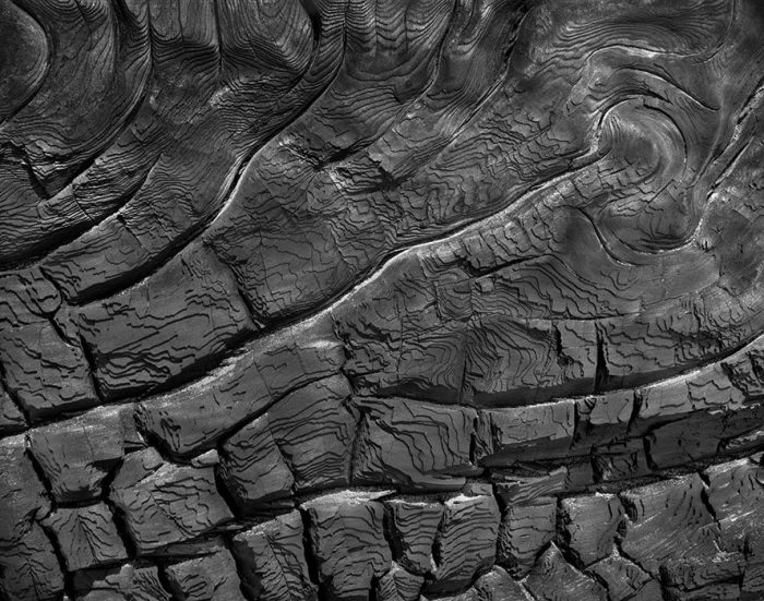 Burned Log, West Quincy, Missouri, 2005