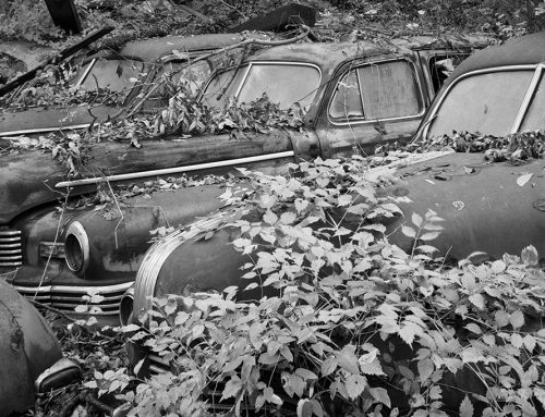 1947 Nash, 1949 Pontiac, Ivy, Ste. Genevieve, Missouri