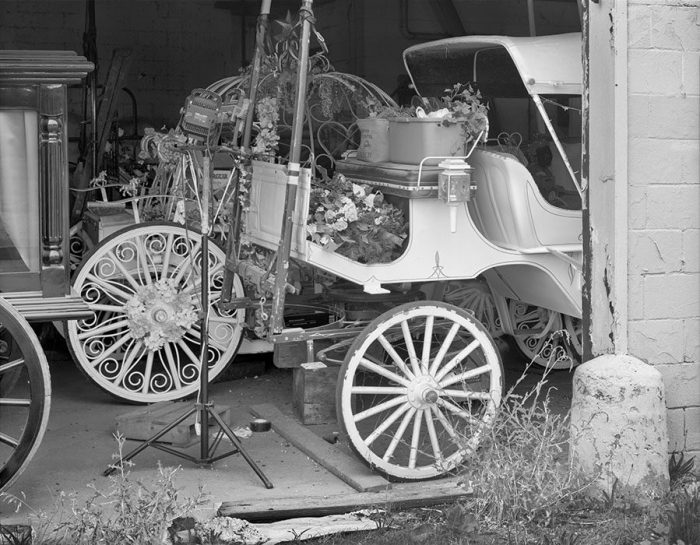 American Queen Carriage Company, Couteau's Landing, 2021