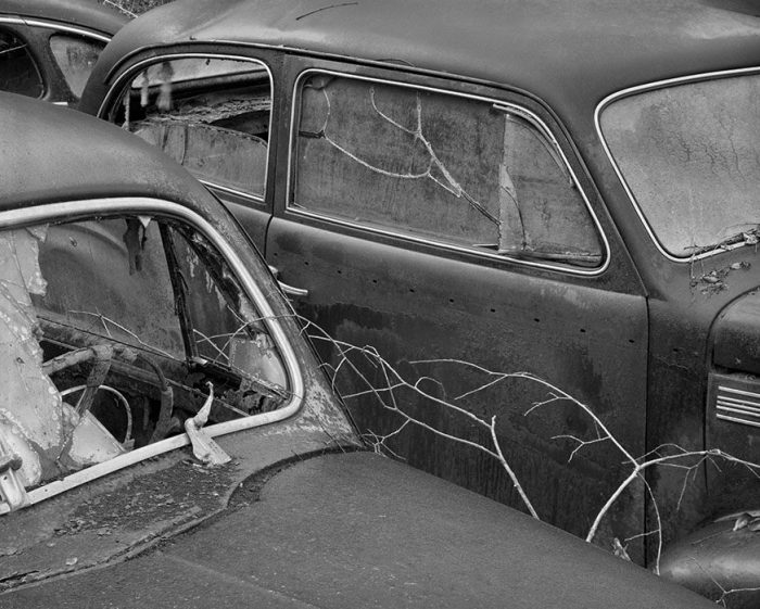Old Car, Branches, Ste. Genevieve, Missouri