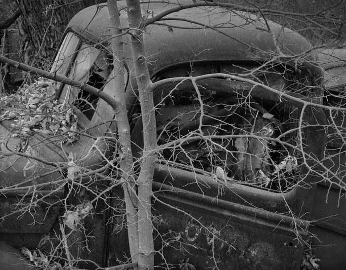 Old Truck, Tree, Ste. Genevieve, Missouri
