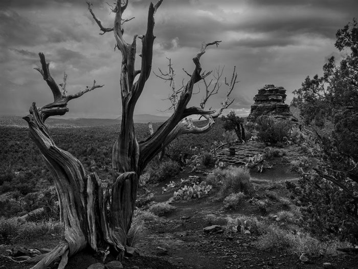 Boynton Canyon Vortex, Sedona, Arizona, 2020