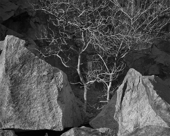 Quarry Series #13
