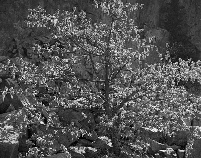 Quarry Series #20