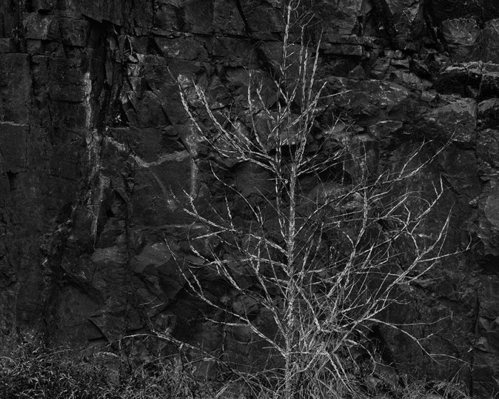 Quarry Series #45