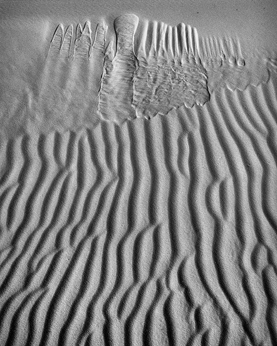 /product//sand-dune-detail-white-sands-national-park-new-mexico-2008-2/