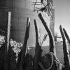 Deteriorated Wharf, Crane Platform, Venice, Illinois, 2022