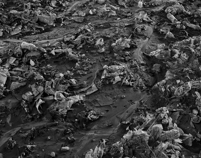 Mud and Debris, Under I-55, 2021