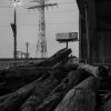 Log Jam, Poplar Street Bridge, Dusk, 2022