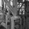 Abandoned Cement Plant and the Arch, Chouteau's Landing, 2024