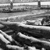 Driftwood, Barges, MacArthur Bridge, Winter, Chouteau's Landing, 2024