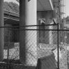 Elevated Railline Under the Poplar Street Bridge, Chouteau's Landing, 2024