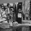 Graffiti Wall, Abandonded Cement Plant, Chouteau's Landing, St. Louis, Missouri, 2023