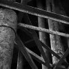 Pilings, Abandoned Pier 2, Chouteau's Landing, 2024