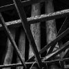 Pilings, Abandoned Pier, Chouteau's Landing, 2024