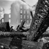 Abandoned and Burning Warehouse, North of Laclede's Landing, 2024