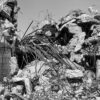 Demolition, Abandoned Warehouse 2, North St. Louis, Missouri, 2025
