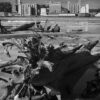 Driftwood, Mississippi River, Winter, Alton, Illinois, 2025