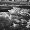 Ice Flows, Mississippi River, Winter, Alton, Illinois, 2025