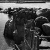 Mill Creek Pumping Station #31, Chouteau's Landing, 2024