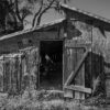 Abandoned Barn 2, St. Clair County, Illinois, 2024