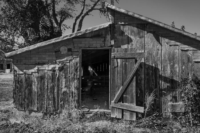 Abandoned Barn 2, St. Clair County, Illinois, 2024