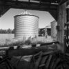 Abandoned Barn, Grain Silos, St. Clair County, Illinois 2024