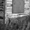 Abandoned House, Nederland, Colorado, 1993