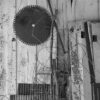 Abandoned Shed Near Maeystown, Illinois, 2024